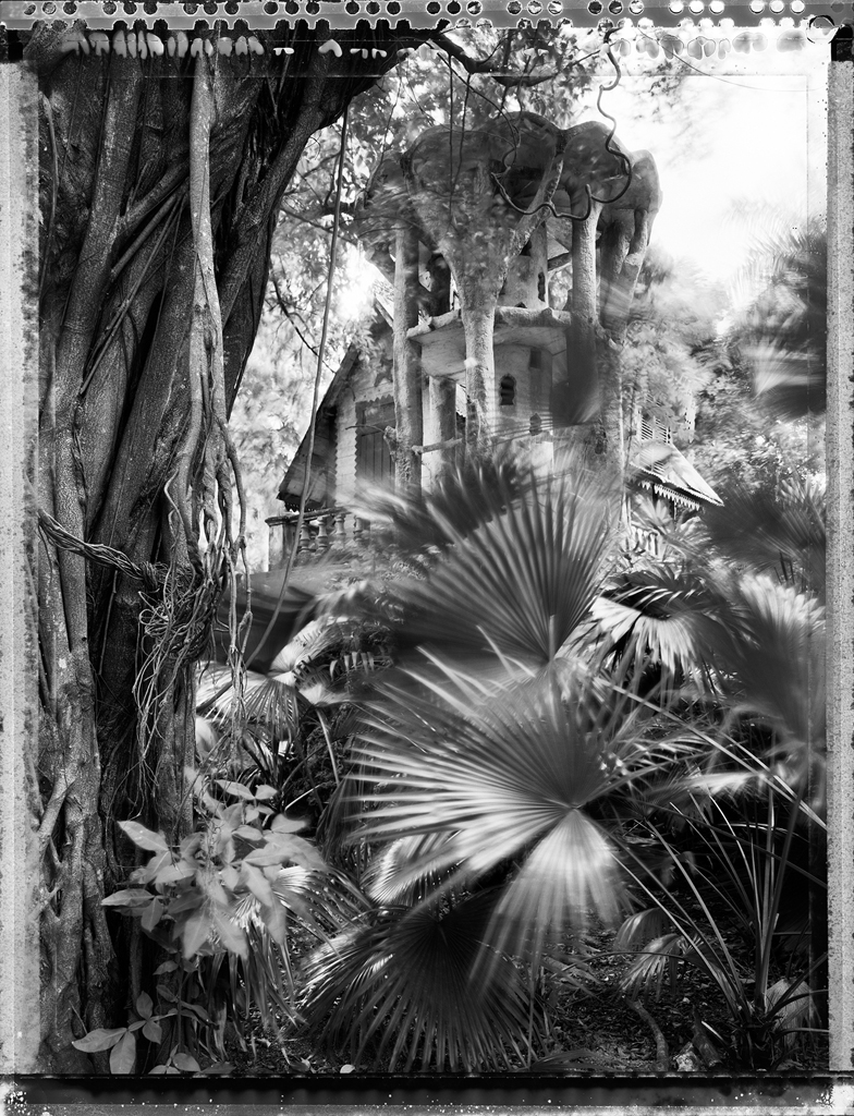 Cuba #14, Garden Fantasy, Havana, 2002